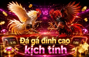 Giao diện sảnh Đá Gà DAGA trên migenteemprende.com